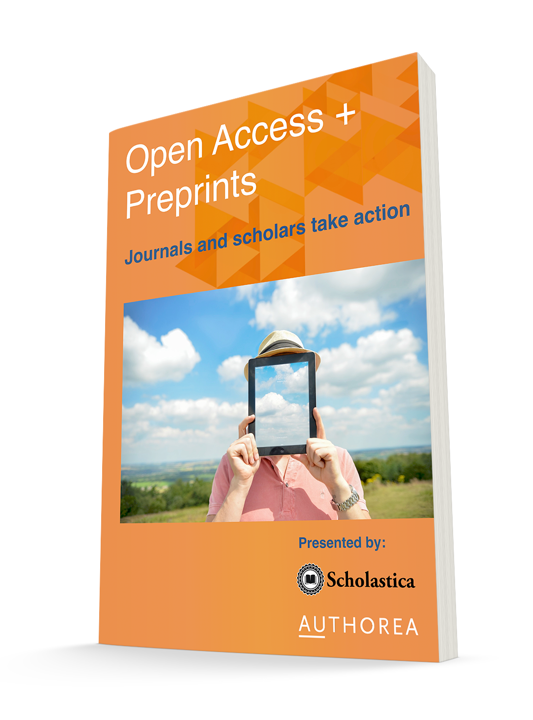 Preprint publication picture